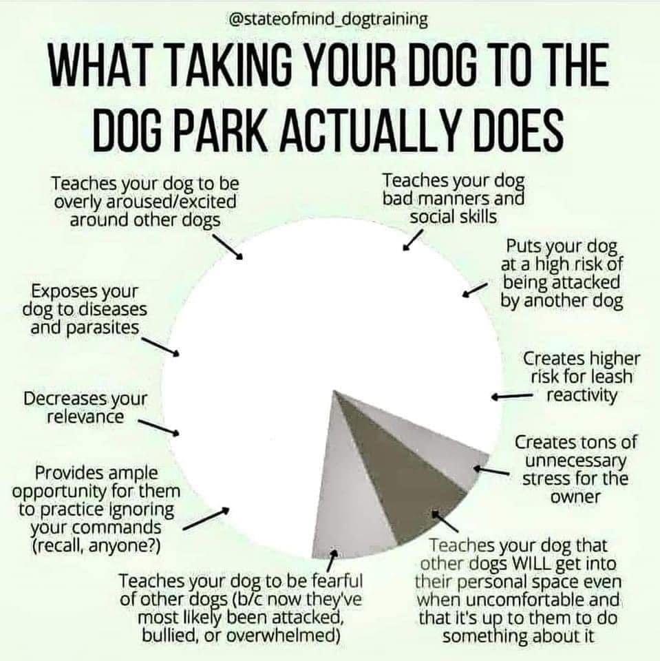 Dangers of dog parks