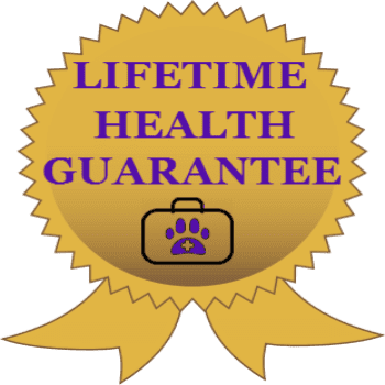 Lifetime Health Guarantee miniature schnauzer puppy