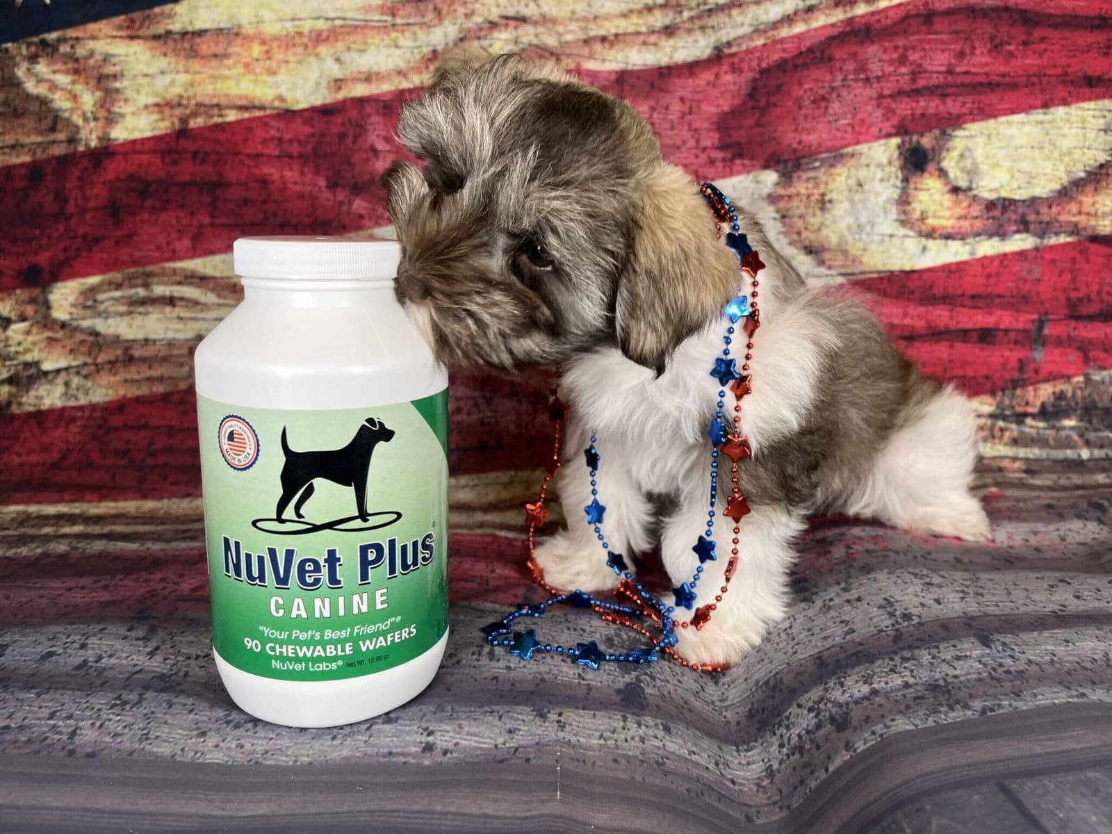 schnauzer puppies and Nuvet vitamins