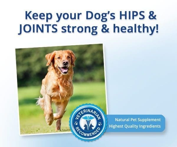 nuvet joint supplement