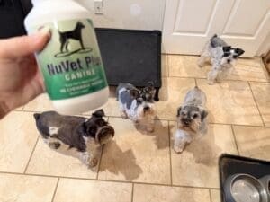 Nuvet supplement