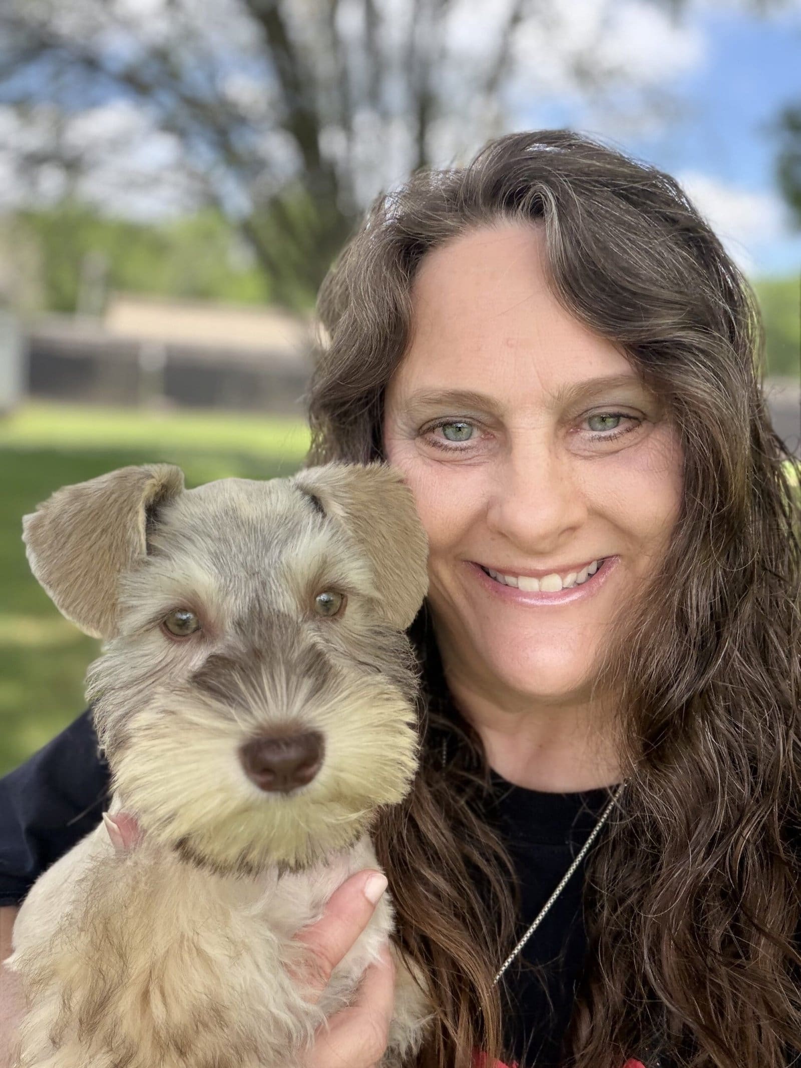 About me Ronnette Davis Von Baron Schnauzers